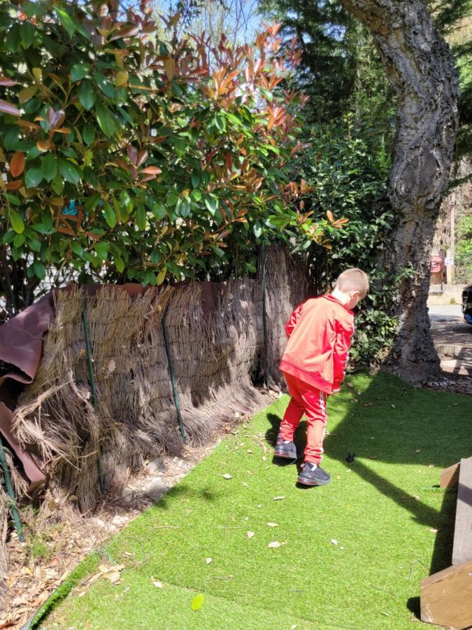 Mobile-Home Hyeres Var Climatise Dans Camping Avec Piscine Jusqu'A 6 Personnes Экстерьер фото