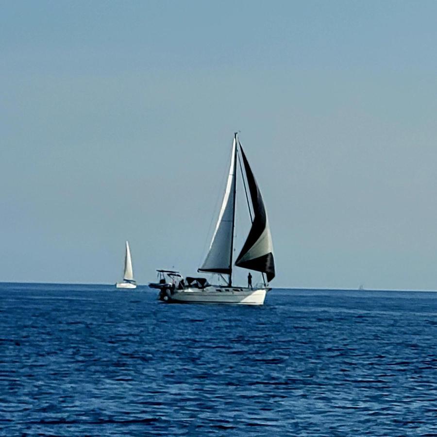 Mobile-Home Hyeres Var Climatise Dans Camping Avec Piscine Jusqu'A 6 Personnes Экстерьер фото